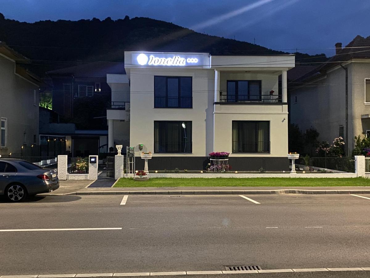 Pensiunea Ionelia Orşova Buitenkant foto